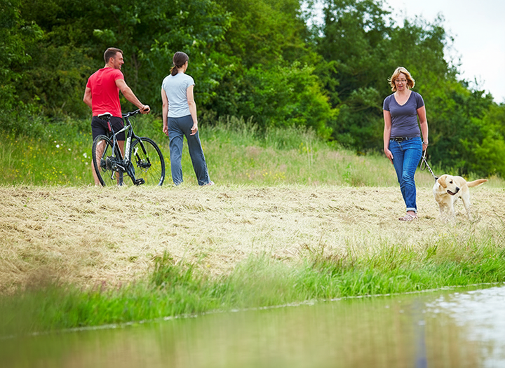 Image of people walking in green open space